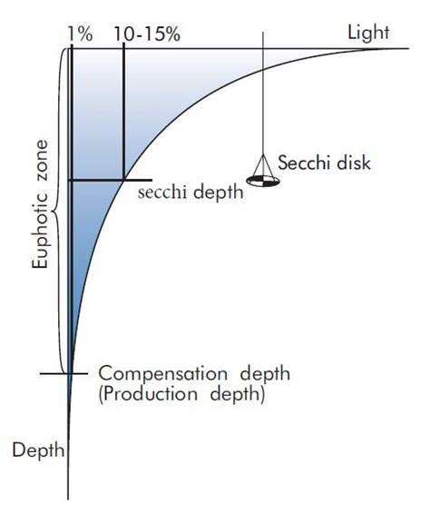 Secchi depth ("visual depth") | VIRTUE