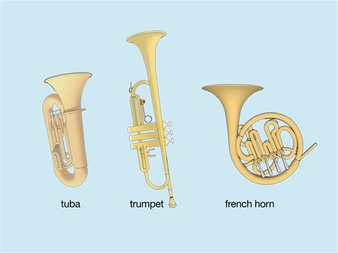 Euphonium vs. Baritone: Size, Sound, & Shape