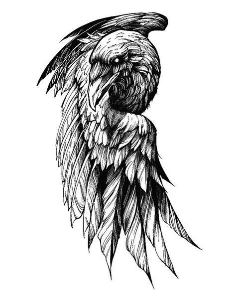 Aguila realista | Idee per tatuaggi, Tatuaggio corvo, Tatuaggi vichinghi