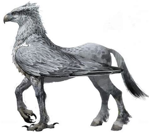 Hippogriff - Drawing Skill