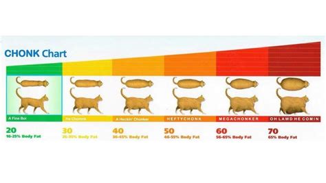 The Chonk Chart - Cytoid