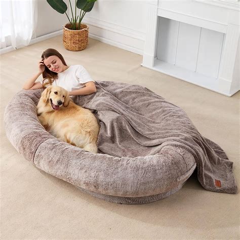 Human-Sized Dog Bed | The Green Head