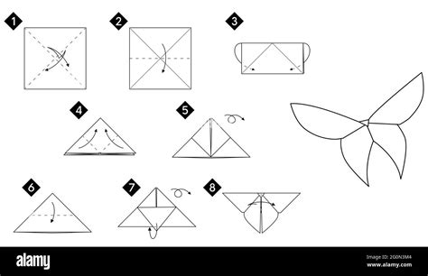 Step Instructions How To Make Origami A Butterfly Vector Image Images