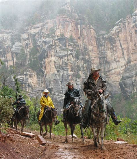 Mule Ride in North Rim Grand Canyon | Trip to grand canyon, Visiting ...