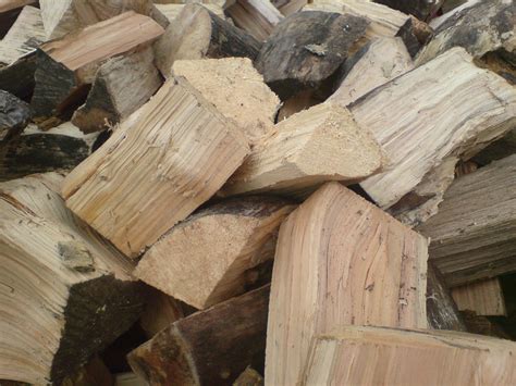 Seasoned Logs - Firewood - Tree Surgeons - Cornwall