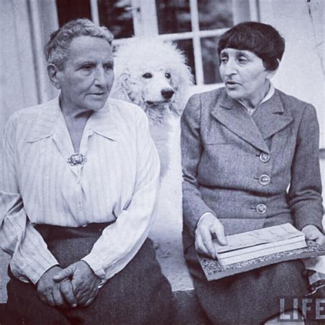 Gertrude Stein, Instagram, Letter L