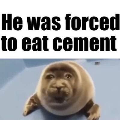 He Was Forced To Eat Cement Crying Seal Meme Template