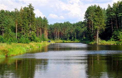 Fondos de Pantalla Ríos Bosques Lituania Naturaleza descargar imagenes