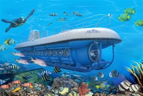 Atlantis Cozumel submarine Tour | Cozumel Tours | What to do