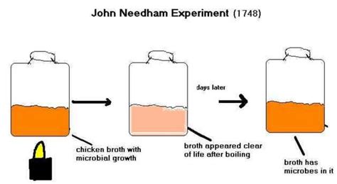 Spontaneous Generation Timeline | Timetoast timelines