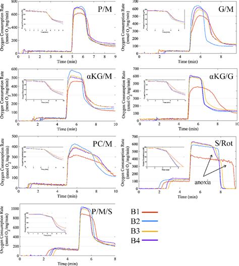 Representative respiration dynamics for each tested buffer and ...