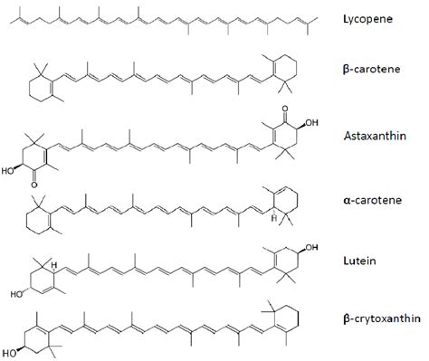 Carotenoids structure. | Download Scientific Diagram