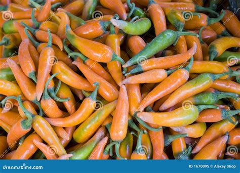 Yellow Chili Pepper Royalty Free Stock Photo - Image: 1670095