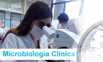 Microbiología Clínica.⠀⠀⠀⠀⠀⠀⠀⠀⠀⠀ - fi-learning