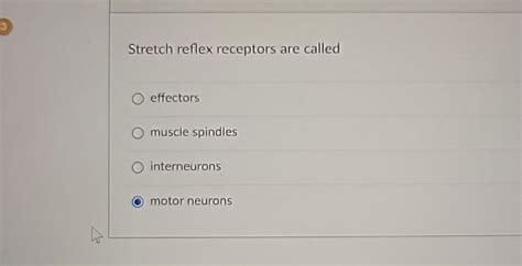 Solved Stretch reflex receptors are calledeffectorsmuscle | Chegg.com