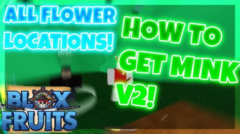 How to get Mink V2 | Tutorial | Blox Fruits - YouTube