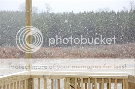 It's SNOWING in Niota this morning! (Knoxville, Murfreesboro: pictures, cold weather, working ...