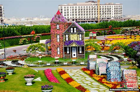 Dubai Miracle Garden: The World’s Biggest Natural Flower Garden With Over 45 Million Flowers ...