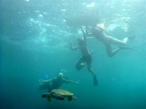 Guided Snorkeling on North Shore of Oahu! - Private Tours Hawaii : Personalized - Customized ...