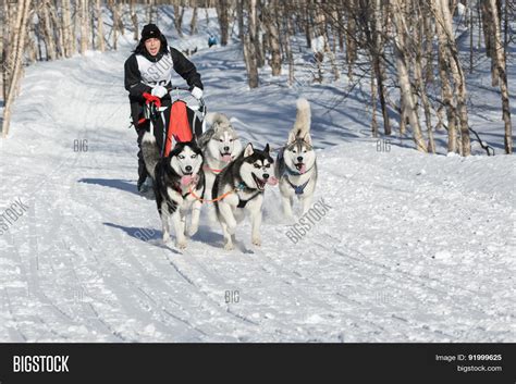 Sportswoman Musher Image & Photo (Free Trial) | Bigstock