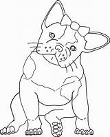 √ 27 Bull Dog Coloring Page  Rotarybalilovinaorg In 2020 Puppy sketch template