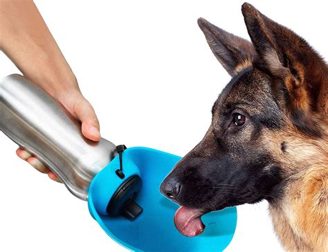 Tuff Pupper Portable Dog Water Bottle » Gadget Flow