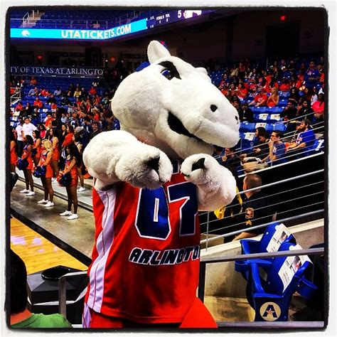 Go Mav's!!! #uta #mascot #utabasketball | Rodger | Flickr