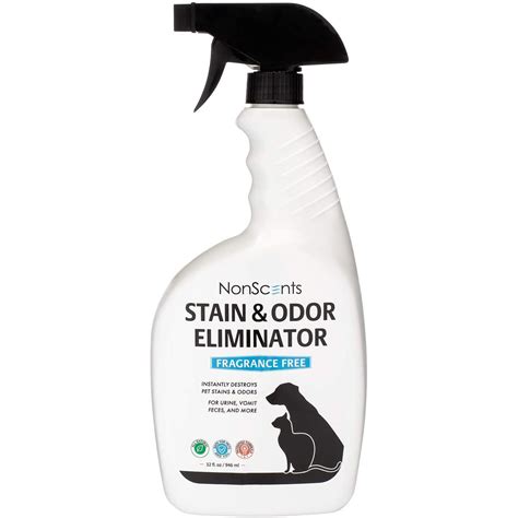 7 Best Products for Removing Pet Stains on Furniture | The Family Handyman