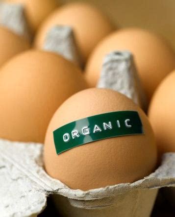 Nature Nourishes: Why Eat Organic Eggs?