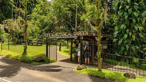 Hawaii Tropical Botanical Garden Map | Fasci Garden