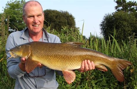 Barbel – Kenny's Angling Guiding Service