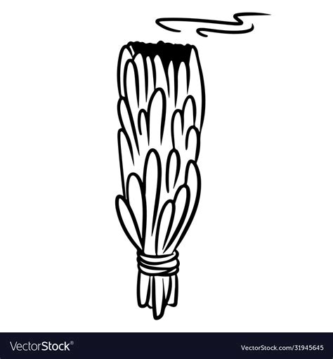 Sage stick hand drawn smudge doodle isolated Vector Image