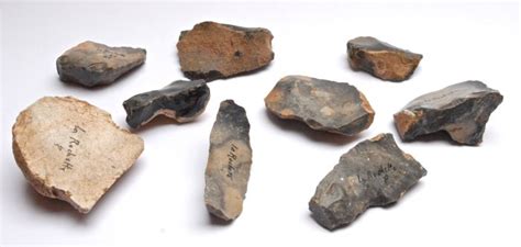 9 late Palaeolithic tools from the Aurignacian 49-67 mm - Catawiki
