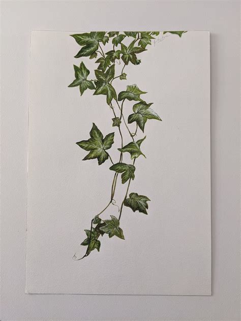 Ivy Vine Plant Painting Original Artwork Watercolor Art by | Etsy