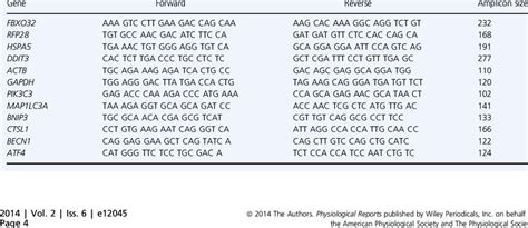 Gene primers and amplicon size. | Download Table