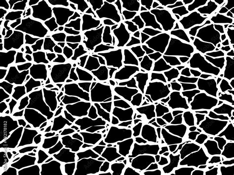 The cracks texture white and black. Vector background. Cracked earth. Structure of cracking ...