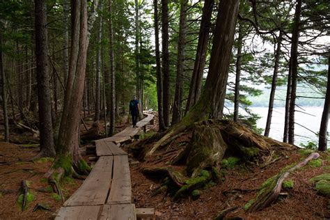 Lake and Forest Hikes - Acadia National Park (U.S. National Park Service)