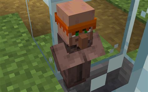 This baby villager in my villager breeder came out as both a plains and desert villager : Minecraft