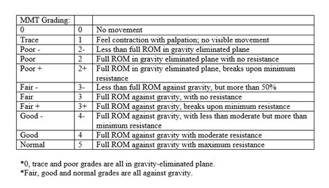 Lower Extremity Manual Muscle Test Chart