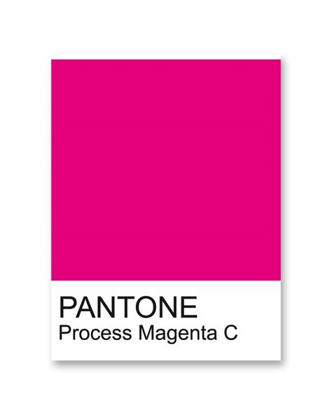 Magenta Mania! | The Tao of Dana