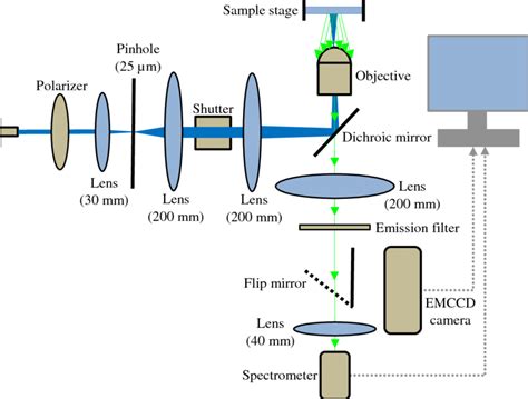 Schematic diagram of a custom built fluorescence spectroscopy setup for ...