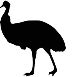 Emu Silhouette at GetDrawings | Free download