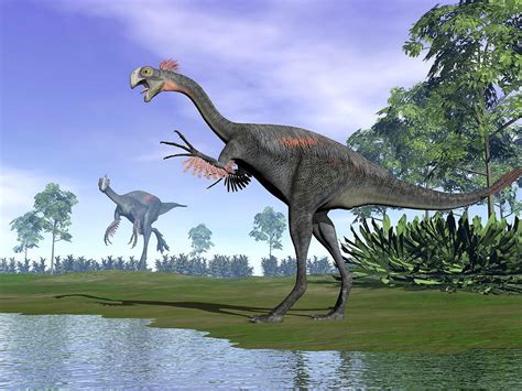 Gigantoraptor Dinosaurs In Nature - 3d Render Digital Art by Elena Duvernay