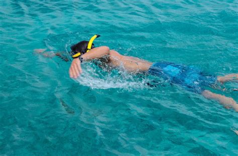 Snorkeling: Tips for Getting Started | Dive Training Magazine