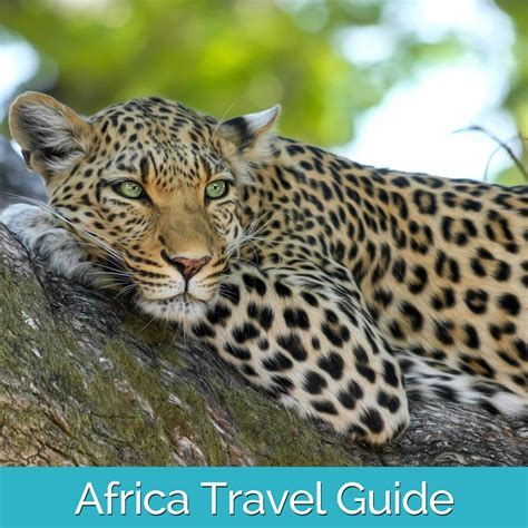 Africa Travel Guide - Travel Jaunts