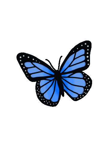 Blue Butterfly Sticker for iOS & Android | GIPHY | Love heart gif, Giphy, Blue butterfly