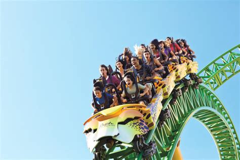 Cheetah Hunt | Busch Gardens Tampa Discount Tickets | Undercover Tourist