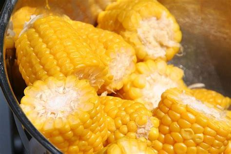 Boiled Corn – Best Cooking recipes In the world