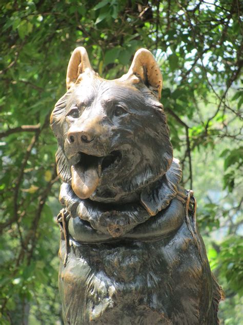 Balto Statue | A photo of the Balto statue from Central Park… | Flickr