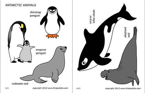 Antarctic Polar Animals | Free Printable Templates & Coloring Pages | FirstPalette.com